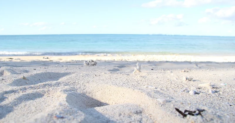 Les meilleurs mois pour profiter des plages secrètes