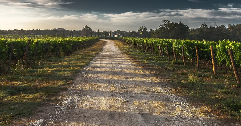 La Route des Vins d'Alsace en voiture : itinéraire et durée idéale