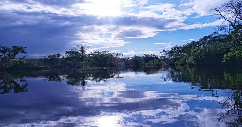 L'angle que l'on oublie presque toujours : l'Amazonie précolombienne