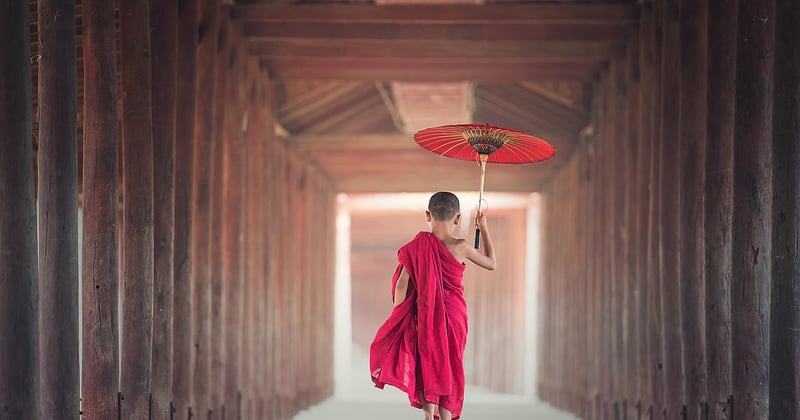Les saveurs d’ailleurs : une découverte des traditions culinaires en Asie